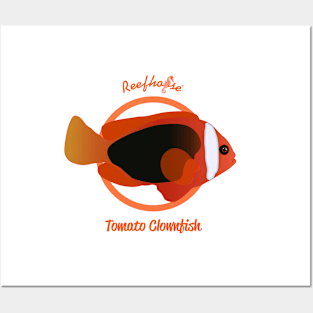 Tomato Clownfish Posters and Art